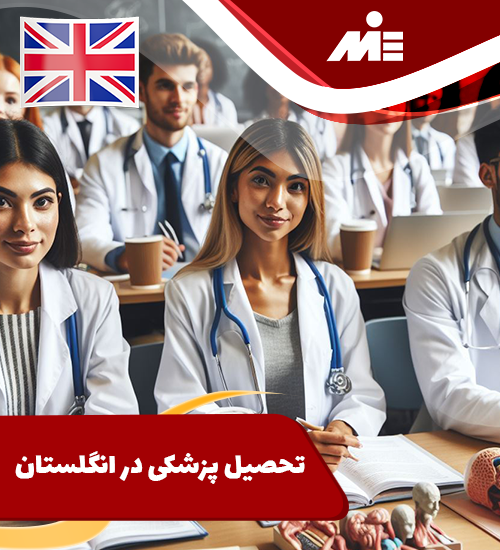 Studying medicine in England