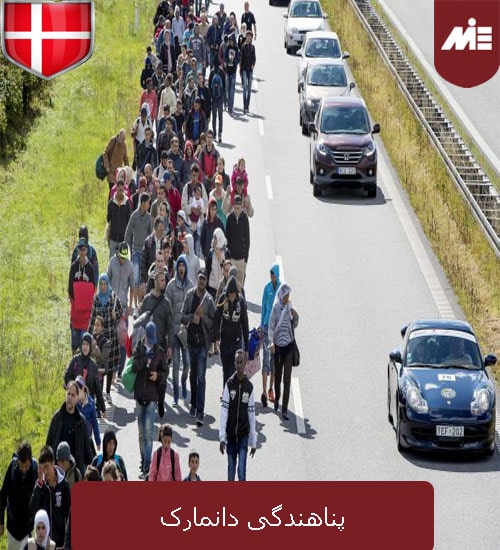 پناهندگی دانمارک