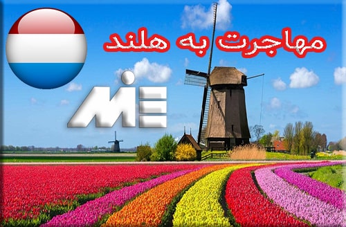 مهاجرت به هلند