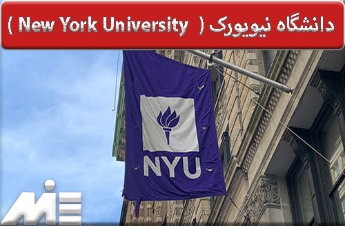 دانشگاه نیویورک