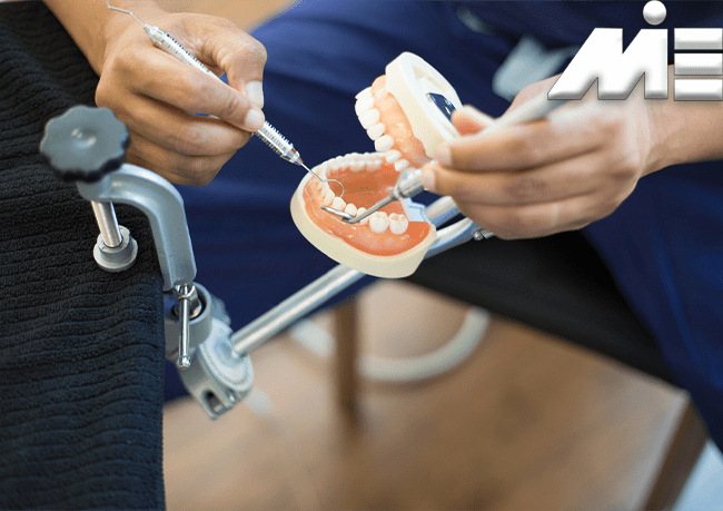 تحصیل داندانپزشکی در خارج از کشور دندانپزشکی dentistery