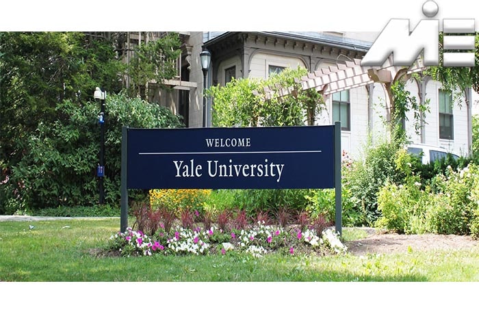 دانشگاه ییل در آمریکا