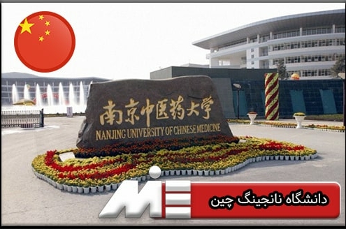 دانشگاه نانجینگ چین