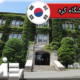 دانشگاه کره