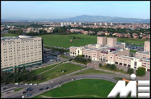 دانشگاه تورورتگا رم ایتالیا